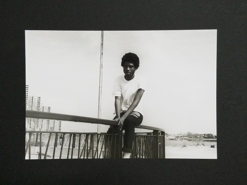Skater over Railing