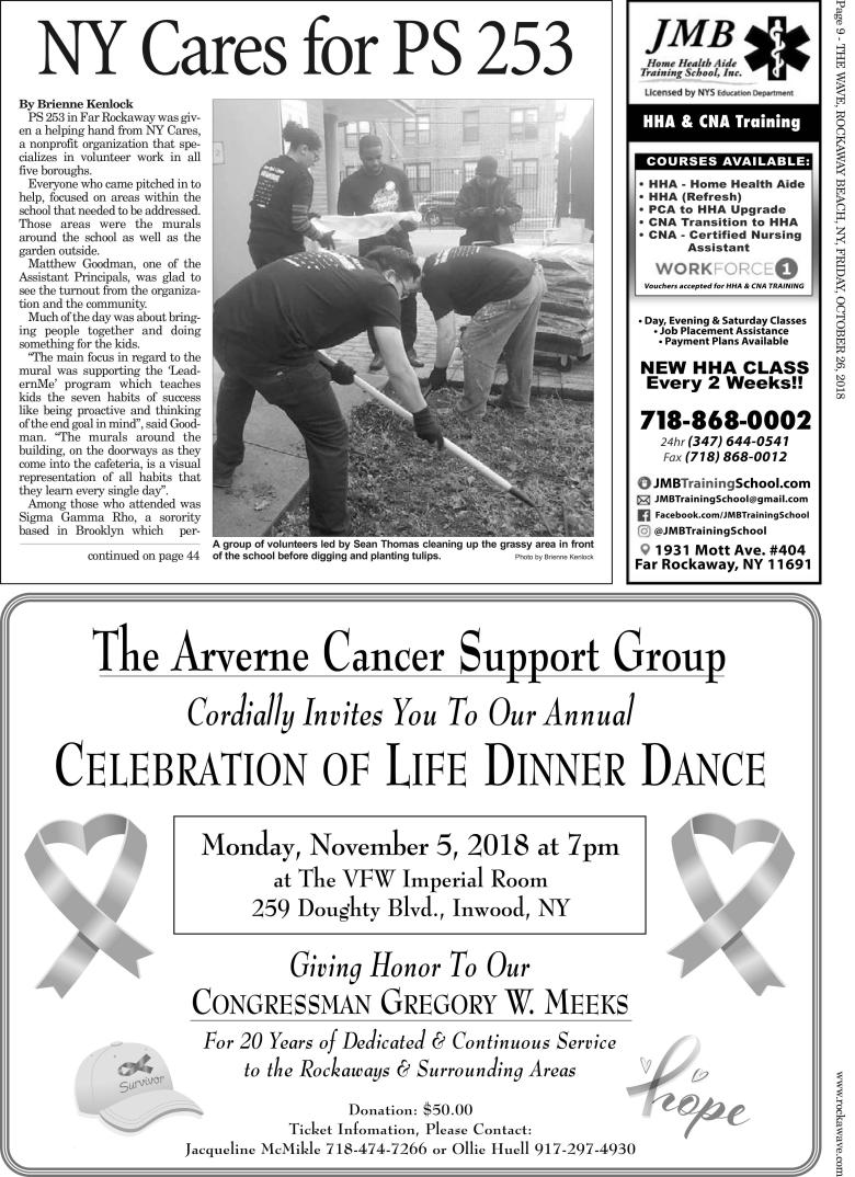 NY Cares for PS 253